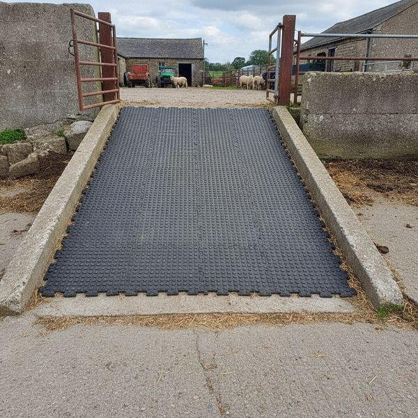 Grip Top Round Stud Rubber Tile on UK farm collecting yard ramp