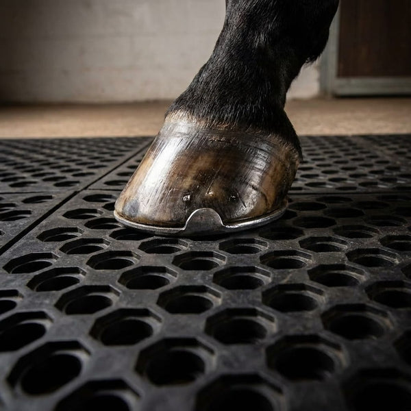Stable Yard Entrance Mat — Anti-Slip Rubber for Equestrian Gateways & Paddocks — 15mm
