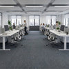 Carpet tiles covering floor in UK open plan office with standing desks