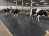 Diamond Top Parlour Floor Mat | Heavy Duty Rubber 22mm 1.8m x 1.2m