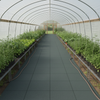 Anti-Slip Greenhouse Flooring as walkway in polytunnel