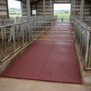 StableFlex Red Rubber Cattle Flooring in UK livestock housing