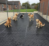 Dog Kennel Rubber Grass Mat — Anti-Slip Drainage Flooring for Outdoor Kennels & Runs — 15mm