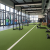 TrackMaster Indoor Sled Track in professional gym setting