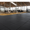 StableFlex Rubber Cow Mattress 30mm installed in British dairy farm barn