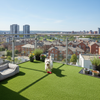 Artificial grass dog area on UK apartment balcony