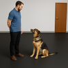Premium Rubber Kennel Flooring