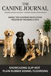 Dogs sitting on plain rubber kennel flooring