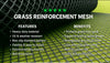 Durable HDPE Mesh Roll for Strong Grass Turf Protection and Reinforcement