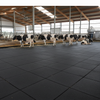 Heavy Duty Livestock Rubber Matting in modern cattle shed