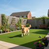 Pet friendly artificial lawn with dog playing in British garden