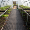 Anti-Slip Greenhouse Flooring - Self Draining Rubber Tiles