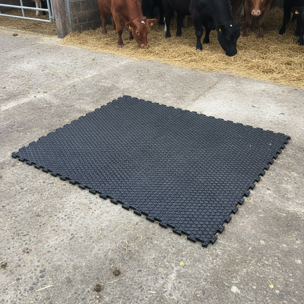 22mm Diamond Top Rubber Mat in UK farm collecting yard walkway