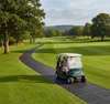 Golf course pathway rubber mat