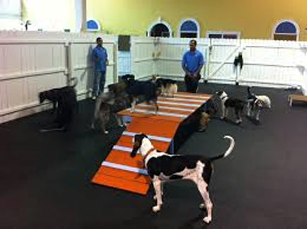 Durable Rubber Matting for Dog Runs