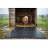 Heavy Duty Rubber Horse Stable Mat - 6ft x 4ft Premium Equestrian Flooring