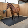 Heavy Duty Rubber Horse Stable Mat - 6ft x 4ft Premium Equestrian Flooring