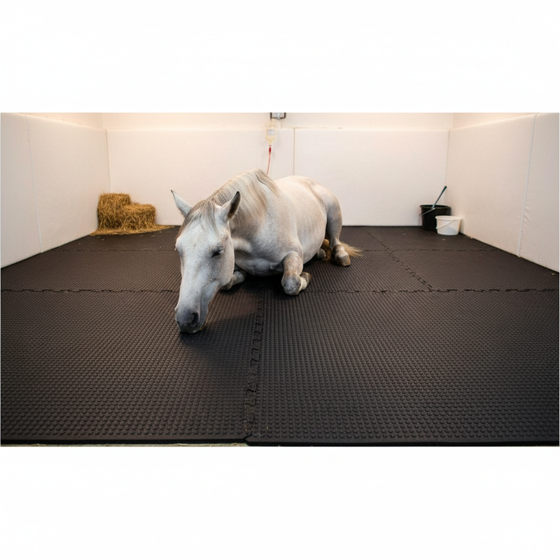 Heavy Duty Rubber Horse Stable Mat - 6ft x 4ft Premium Equestrian Flooring
