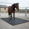 Heavy Duty Rubber Horse Stable Mat - 6ft x 4ft Premium Equestrian Flooring