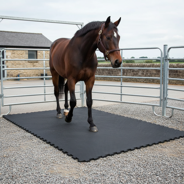 Heavy Duty Rubber Horse Stable Mat - 6ft x 4ft Premium Equestrian Flooring