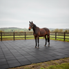 StableFlex Paddock Rubber Tiles 500mm x 500mm - 30mm Thick | Free UK Delivery