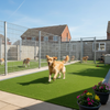 Pet lawn grass installed in professional dog kennels facility