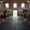 StableFlex Stable Walkway Tiles 1m x 1m - 20mm Thick Rubber - Product In Use Setting