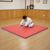 EVA Foam Mats in Martial Arts Dojo - Karate Training on Red Blue Mats