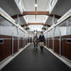 Modern UK livery yard stable aisle with StableFlex rubber walkway tiles installed, 20mm thick interlocking equestrian flooring with horse and rider
