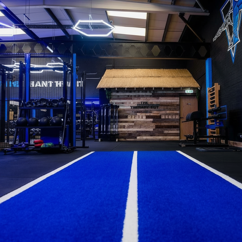 TrackMaster Speed Lane Agility Track — product overview