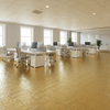 Acoustic Laminate Flooring Underlay - Uk Office Setting