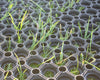 Heavy Duty Rubber Grass Mat Superior Flooring for Horse Stables